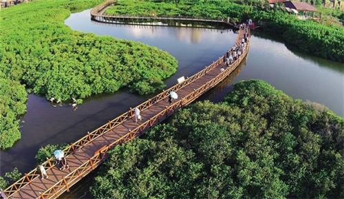 misscake蛋糕小姐