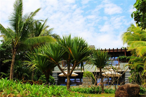 圈粉时代酸辣粉