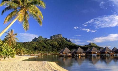 猫爪舞蹈加盟费多少