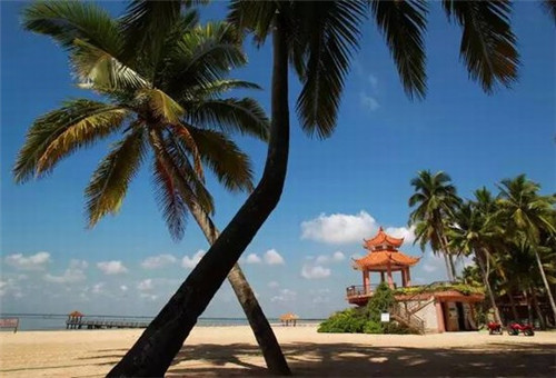 蛟河市鱼火锅开店是加盟还是自营好，加盟东升石锅鱼在蛟河市开店需要注意些什