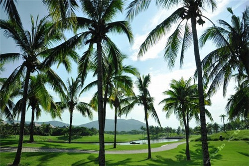 开洗衣店的劣势，洗衣店创业技术风险大吗