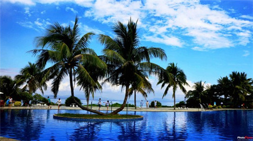 酸奶店创业怎么样合适呢