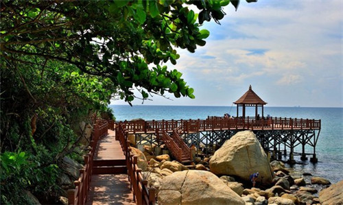 有莎拉布里格斯的小说（莎布尼古拉斯的小说）